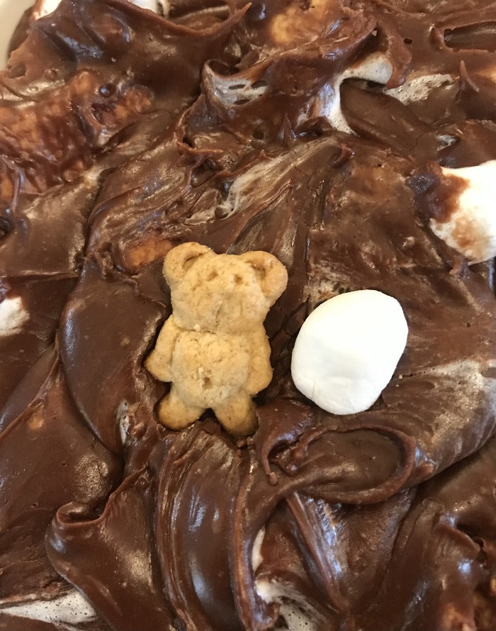 S'mores Fudge (Bonfire not incl)