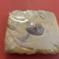 Salted Caramel Praline Fudge